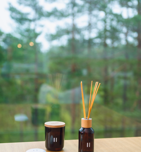 Rento Raumduft Diffusor